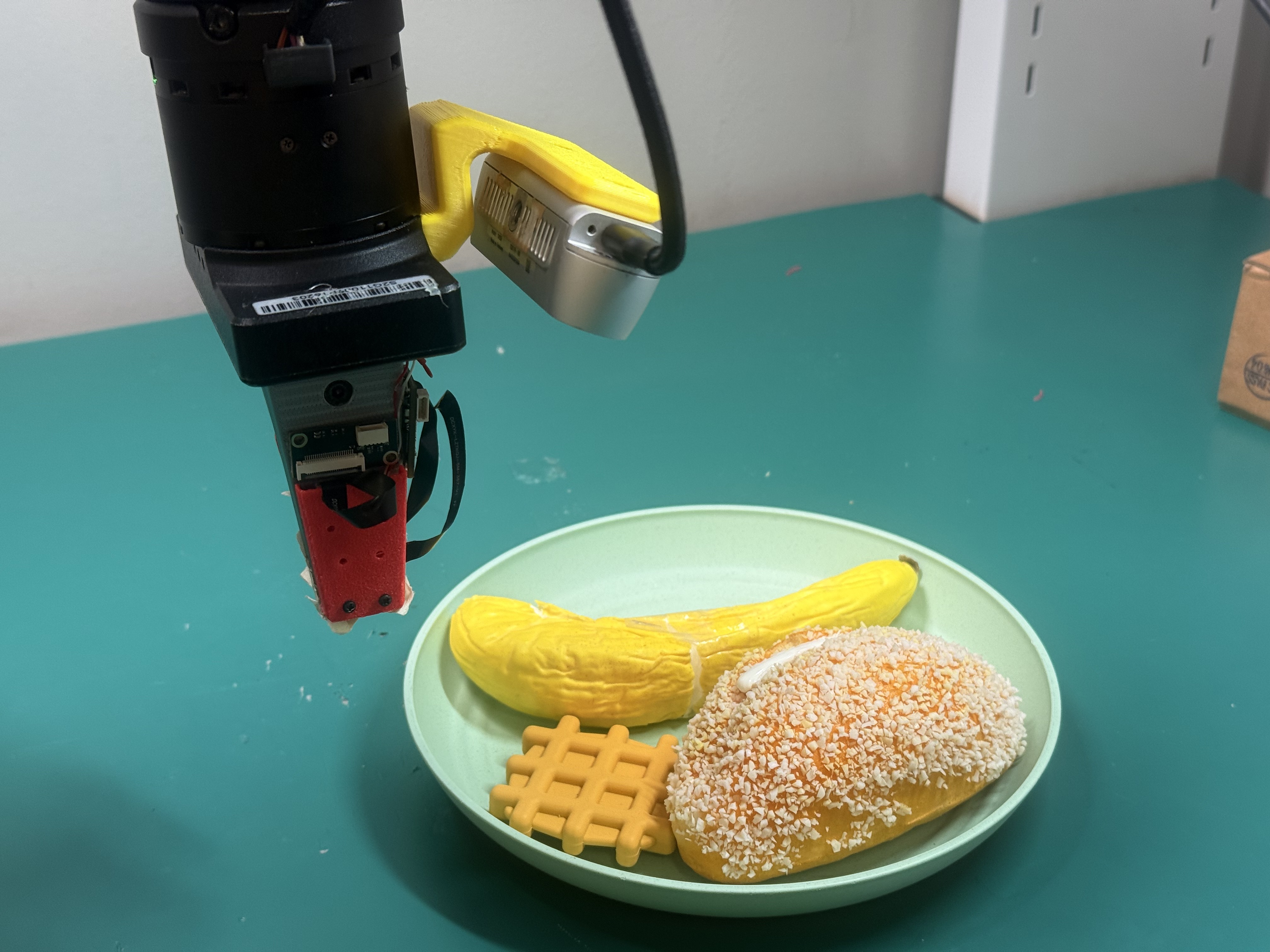 Robot sorting the target object from distractors.